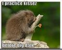 funny-pictures-porcupine-kisses-stump.jpg