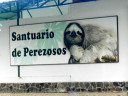 sloth-sign