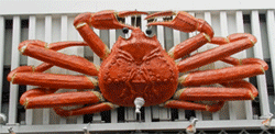 animating-crab