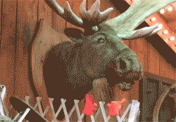 animated-moose-head